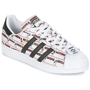 adidas superstar bear